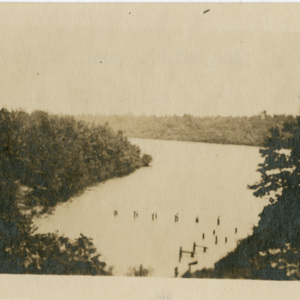 Cove in Langwald&#039;s Pond
