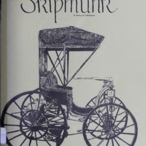 Skipmunk: a story of Chicopee 1977 (Vol. 1 No. 3)