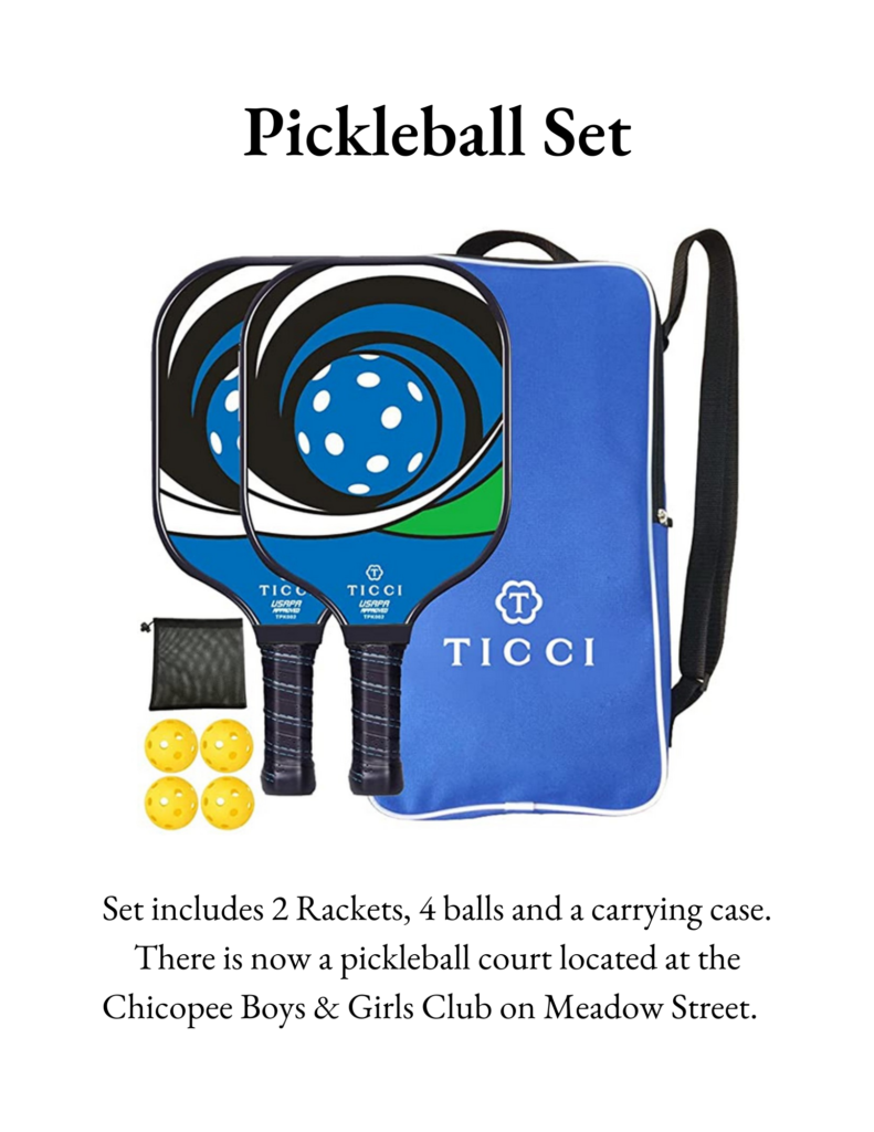 Pickleball Set